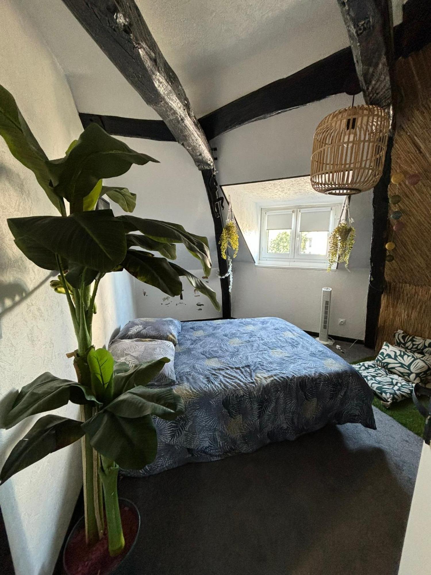 Jungle Cosy Leilighet Louviers Eksteriør bilde